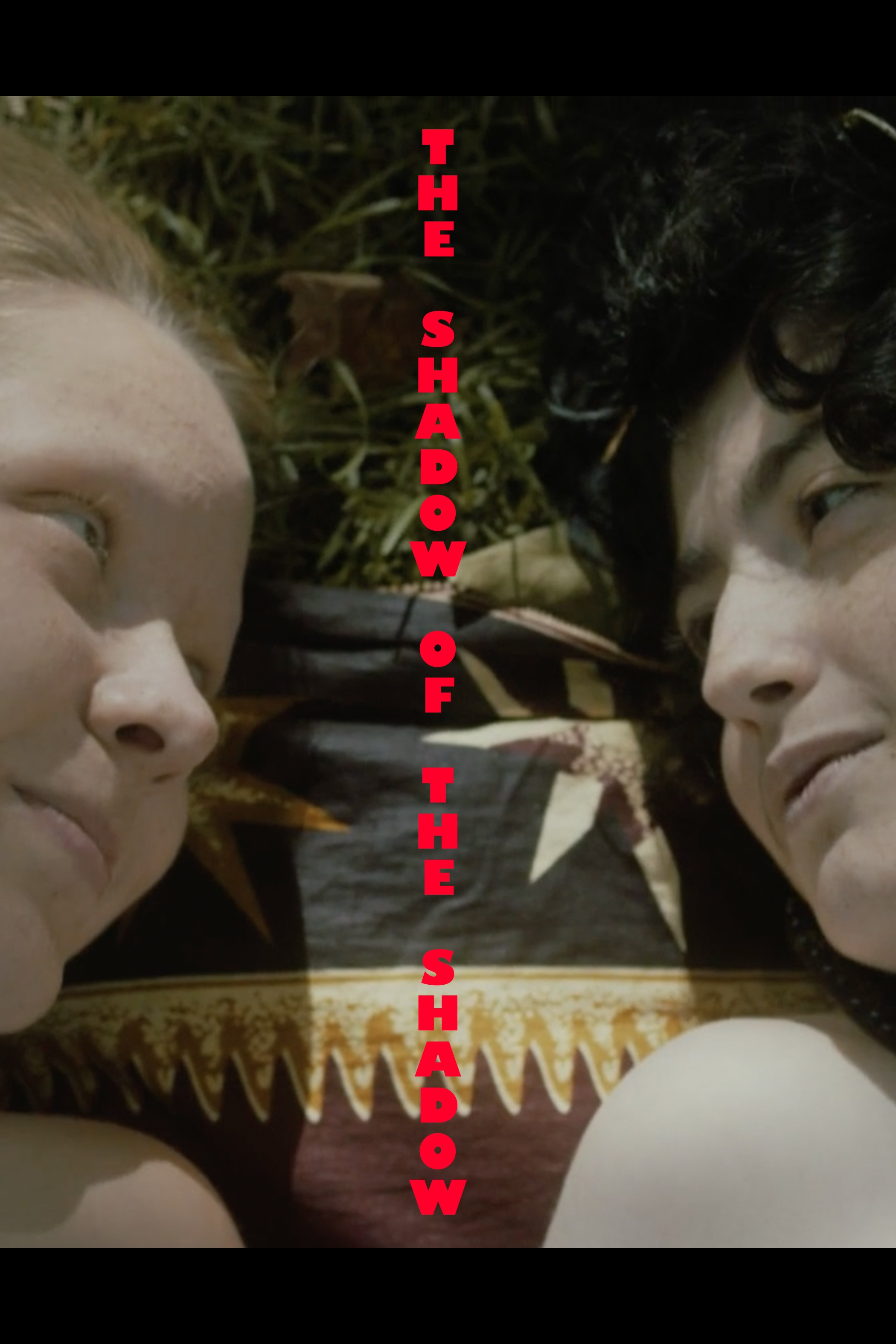 The Shadow of the Shadow