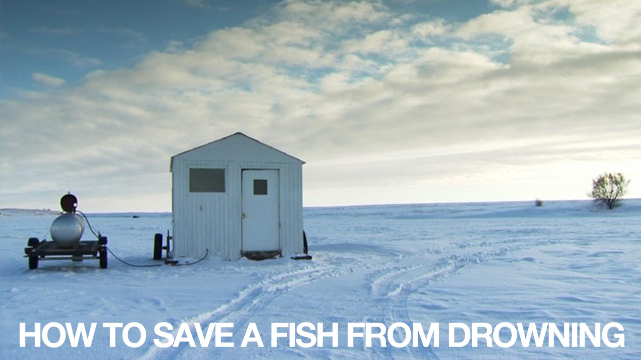How to Save a Fish from Drowning
