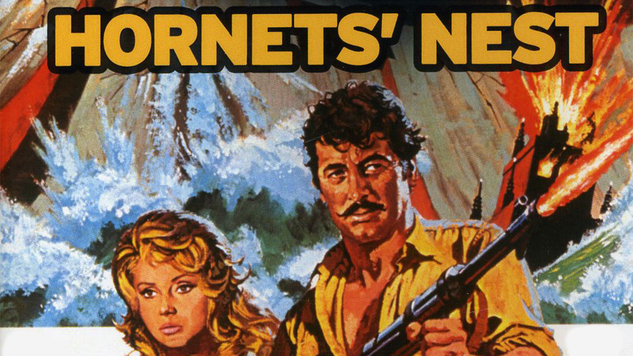Hornet's Nest