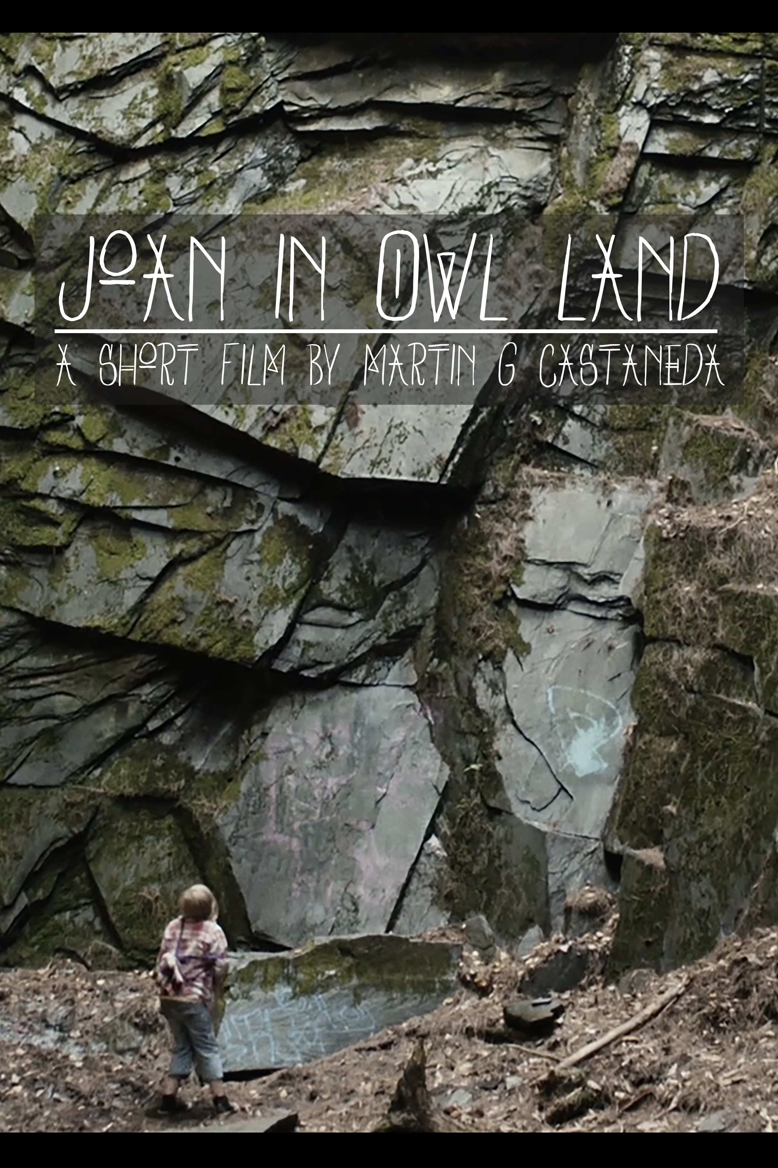 Joan in Owl Land