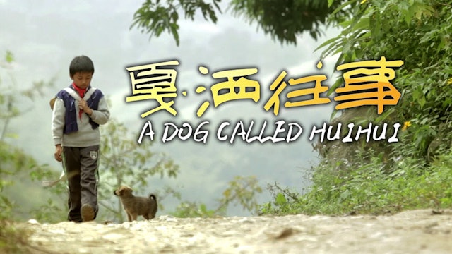 A Dog Called Huihui