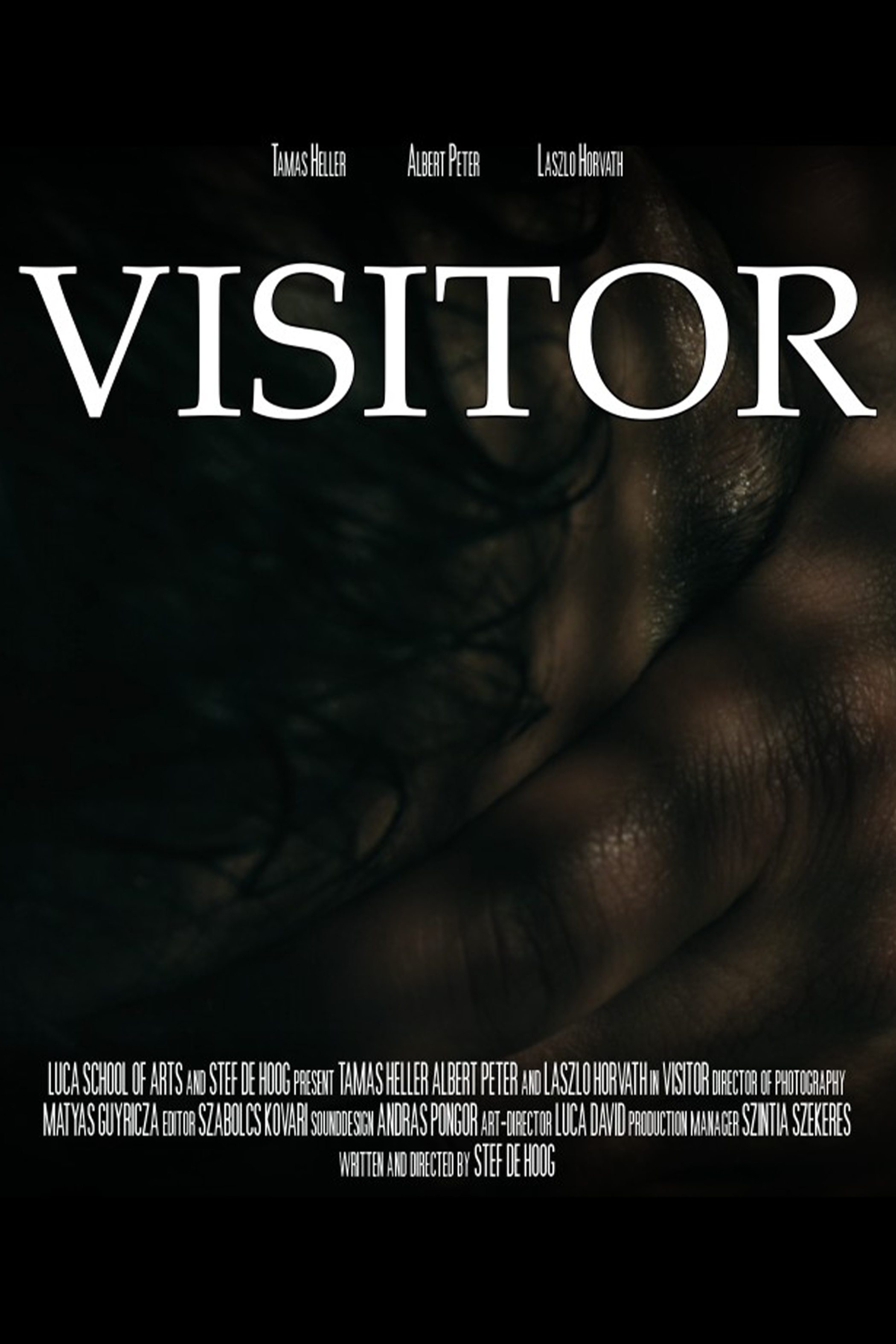 Visitor
