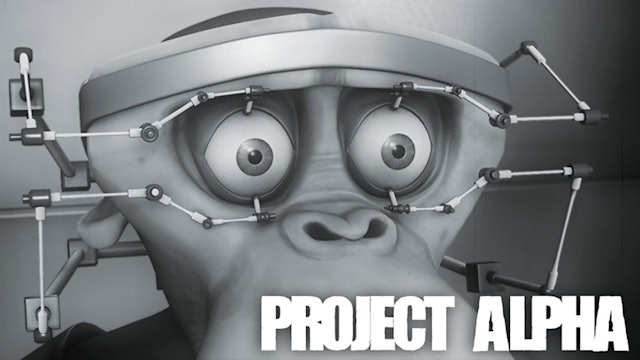Project: Alpha