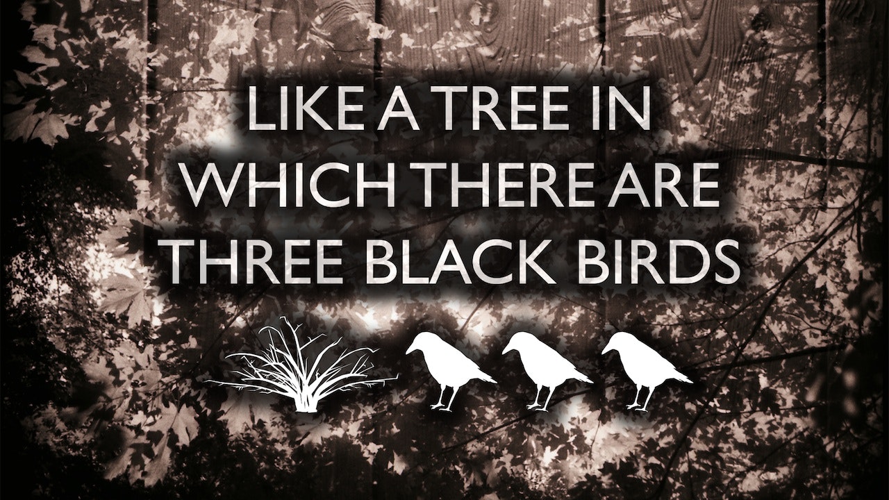 Like a Tree in Which There are Three Black Birds