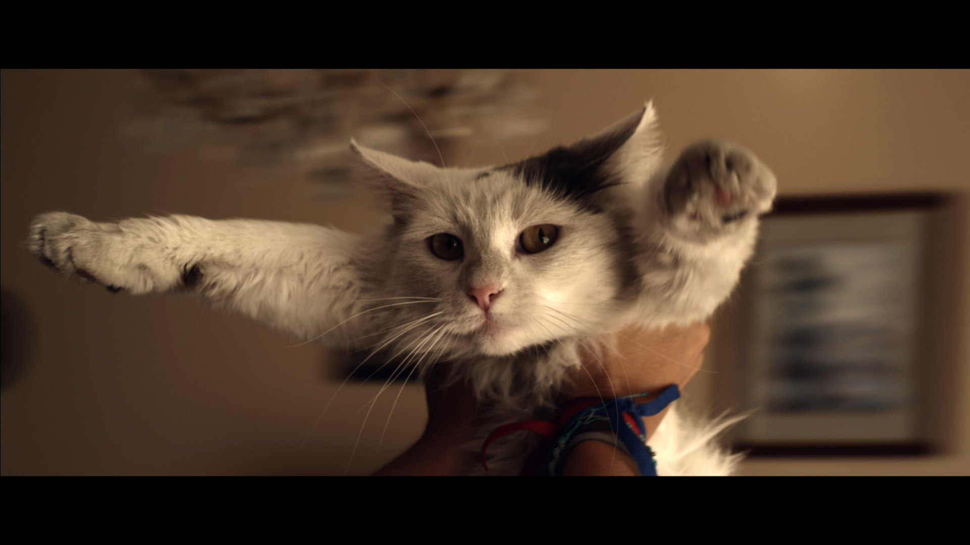 A Gesture (Un Gesto) [No Subtitles]