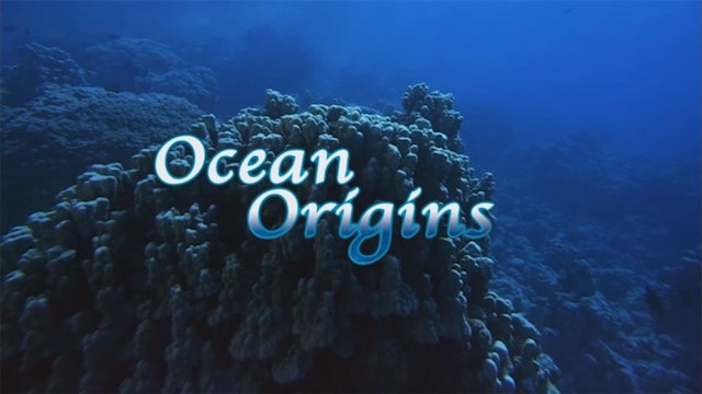 Ocean Origins (Origins of Life)