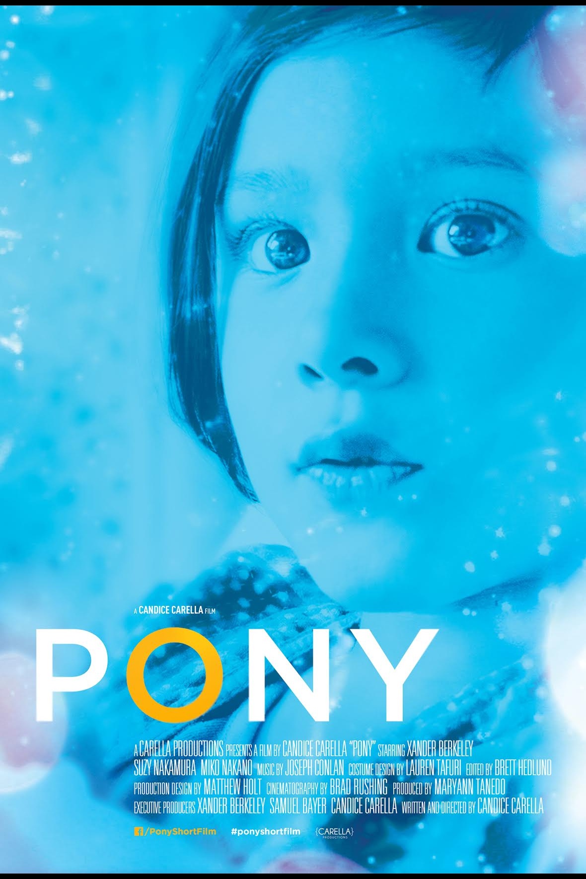 Pony