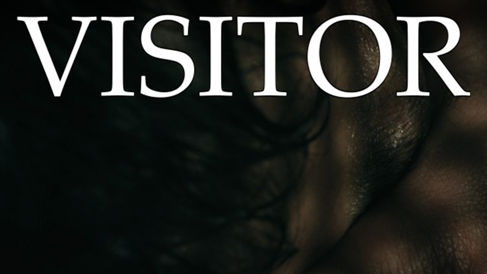 Visitor