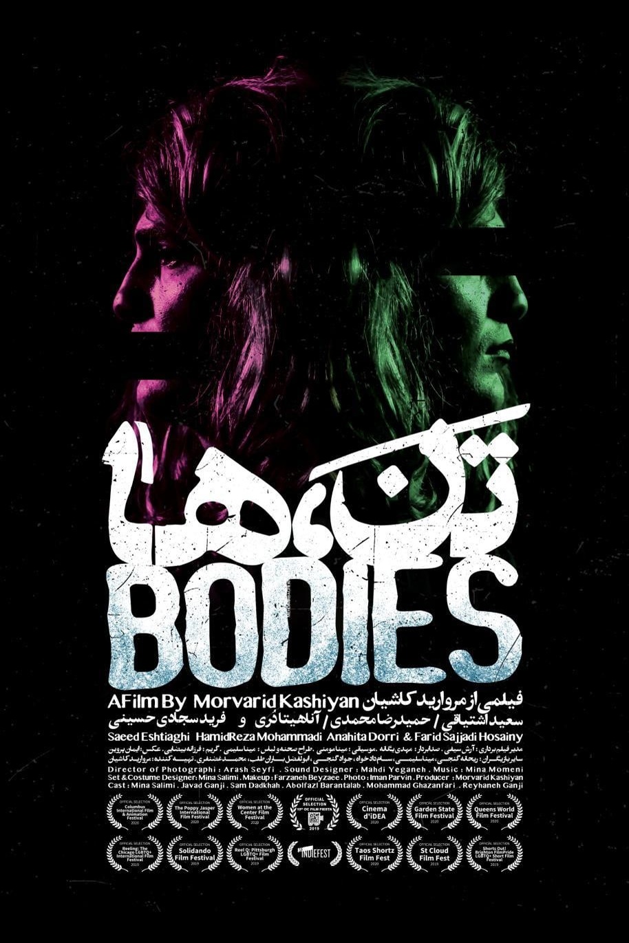Bodies