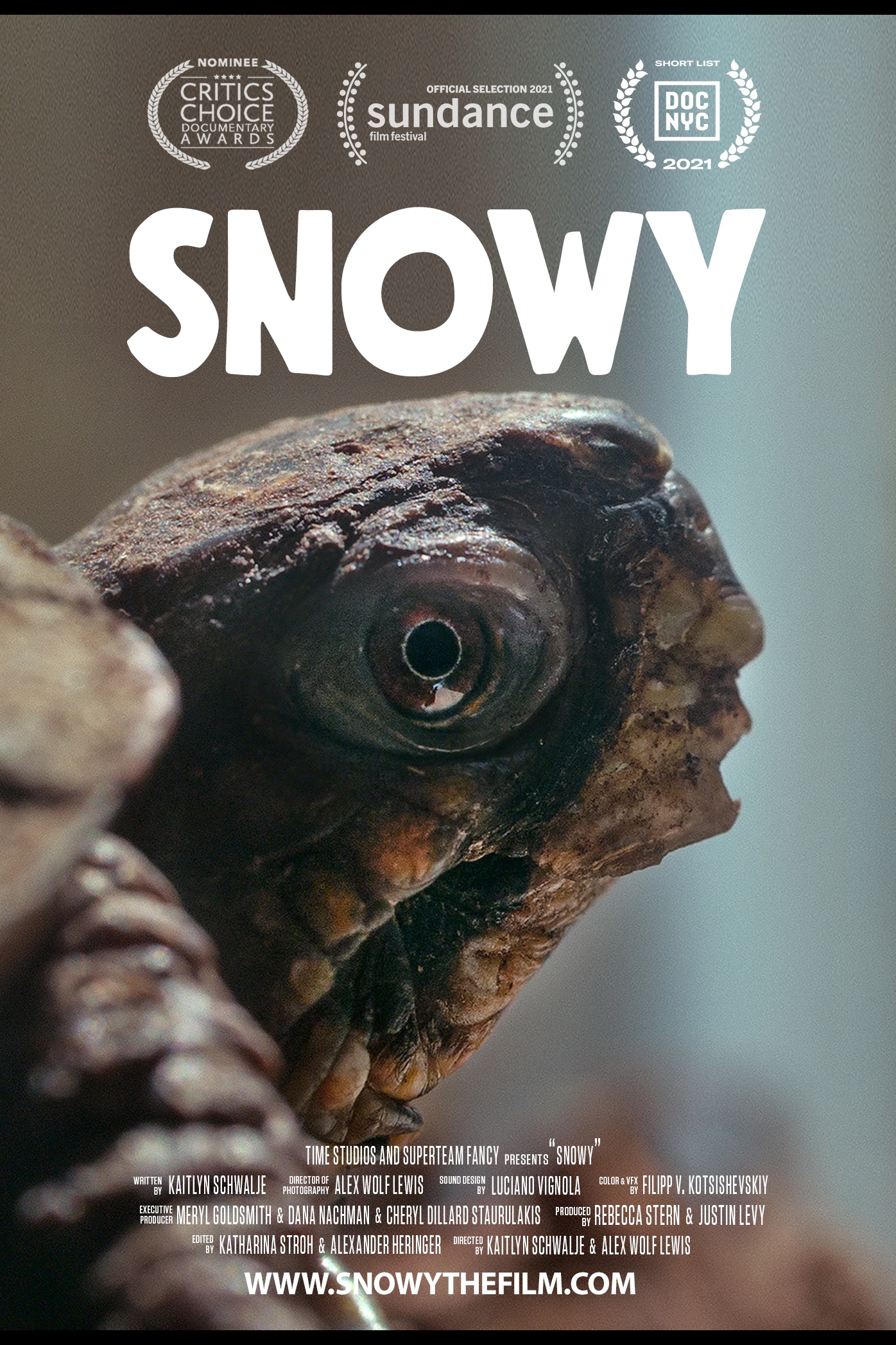 Snowy