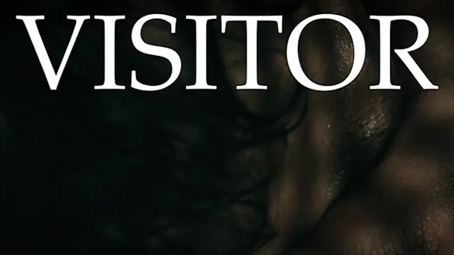 The Making of Visitor