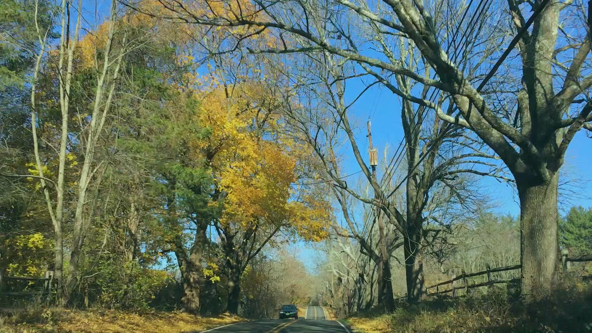 Gather - Full Cast Commentary