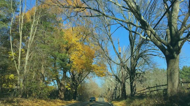 Gather - Full Cast Commentary