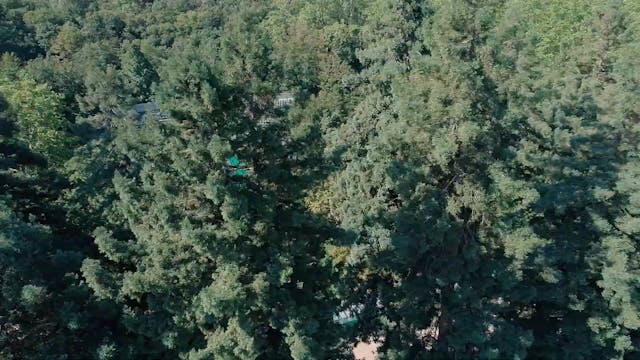 Festival International de Piano