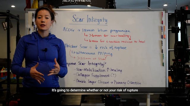 3 - Scar Integrity