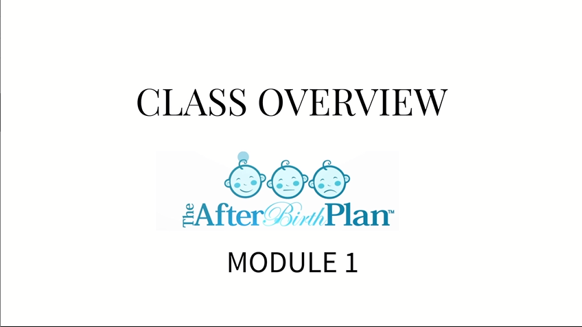 The AfterBirth Plan Module 1