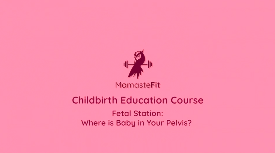 20 - Fetal Stations