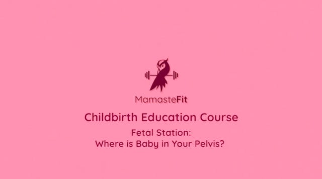 20 - Fetal Stations