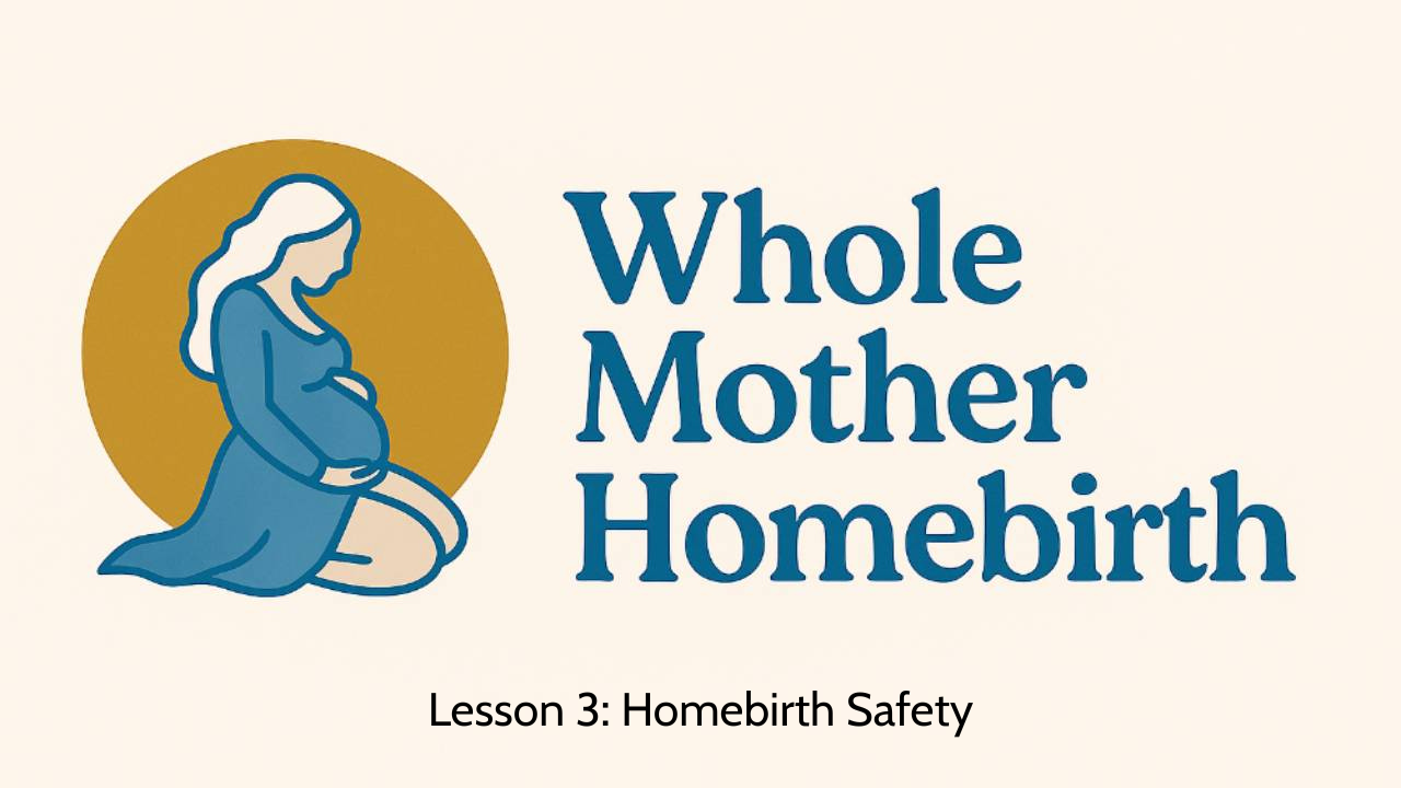 Lesson 3: Homebirth Safety - Whole Mother Homebirth, Module 1