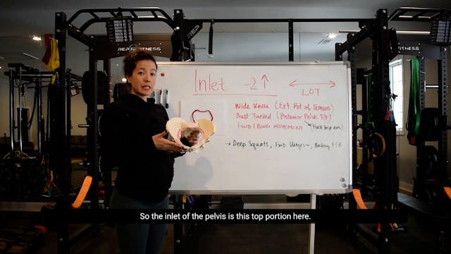 32 - Biomechanics of Labor: Pelvic Inlet