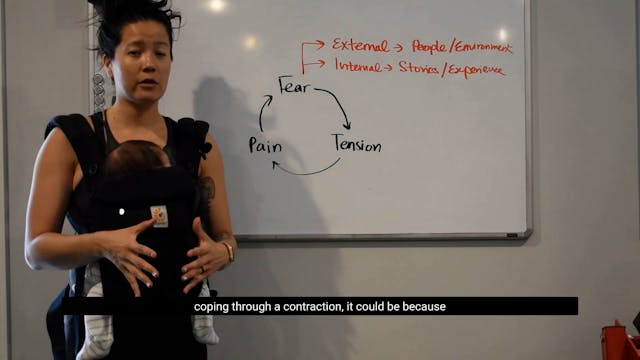 26 - Fear Tension Cycle