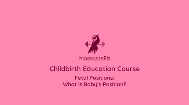 18 - Fetal Positions