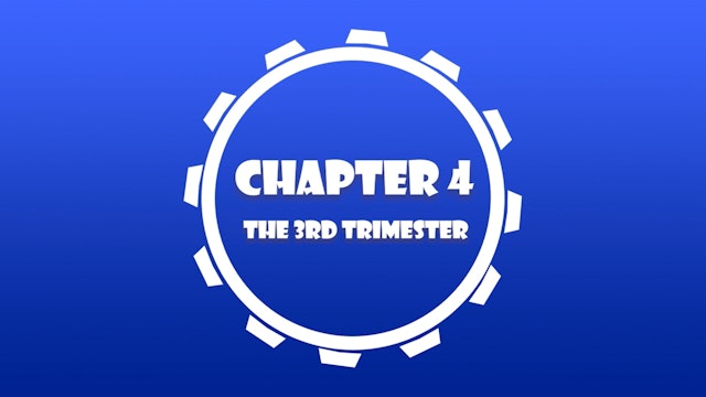 25 WtF - Chapter 4 Introduction - The 3rd Trimester