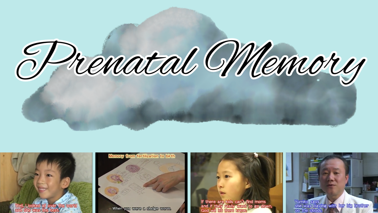 Tainai Kioku (Prenatal Memory)