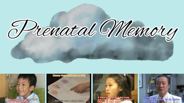Tainai Kioku (Prenatal Memory)