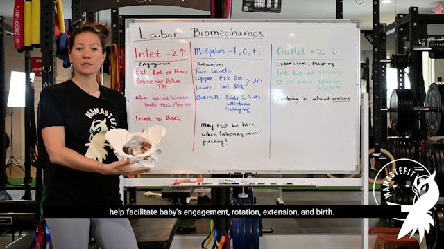 31 - Biomechanics of Labor