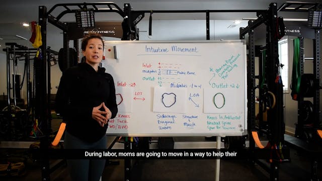 3 - Intuitive Movements