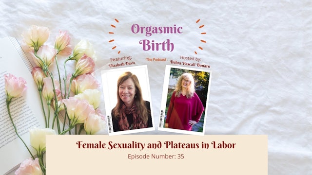 Female Sexuality and Plateaus in Labor