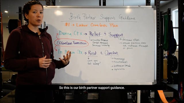 28 - Birth Partner Support