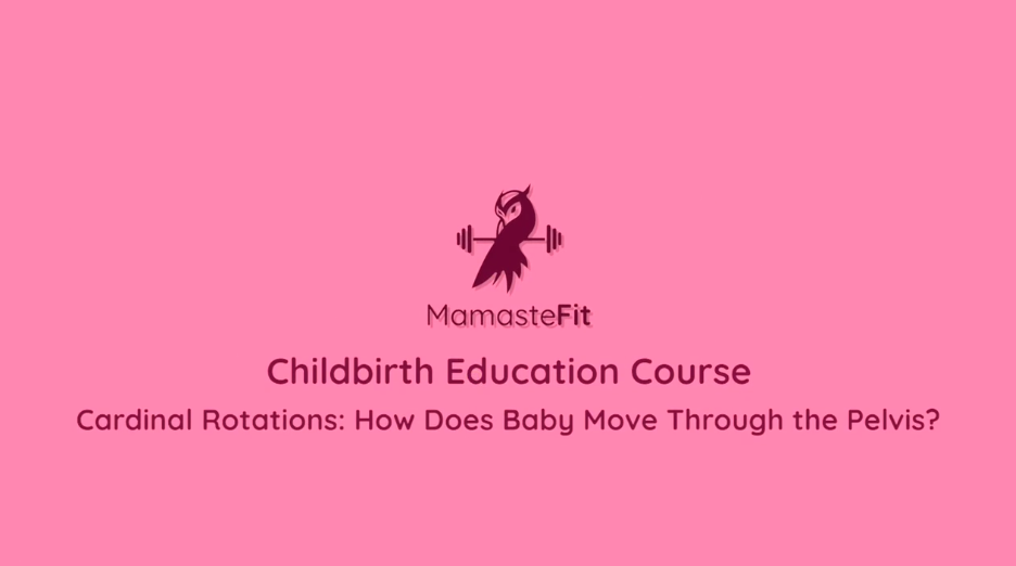 21 - Cardinal Rotations