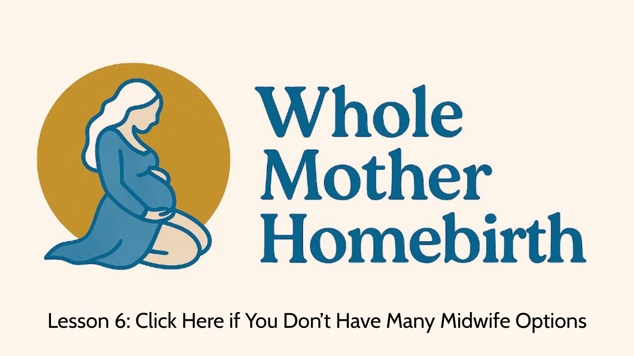 Lesson 6: If You Don’t Have Midwife Options - Whole Mother Homebirth, Module 1