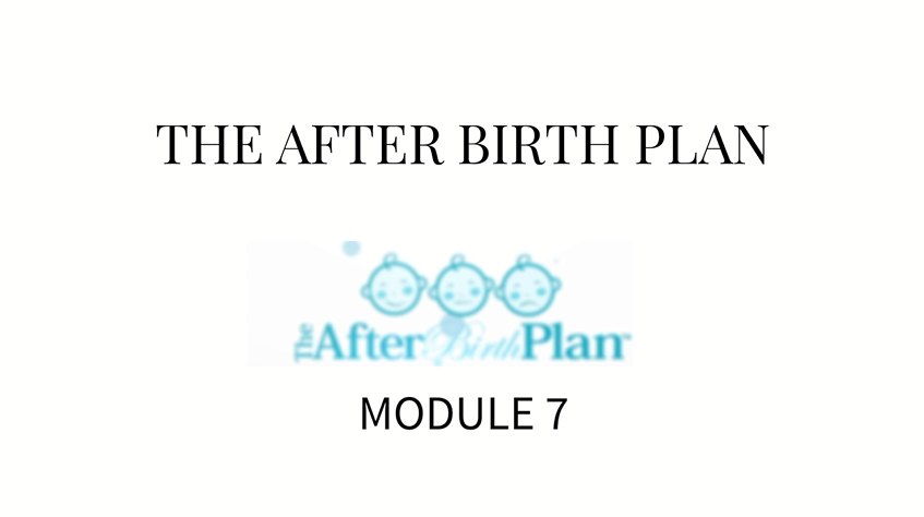 The AfterBirth Plan Module 7.2
