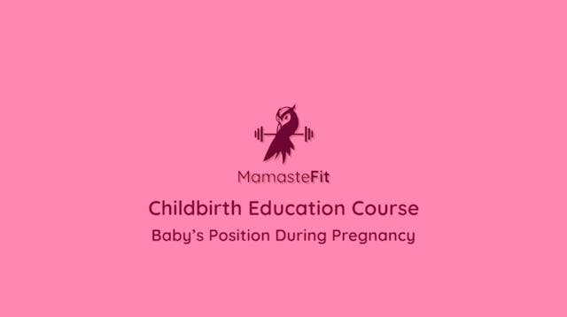 23 - Baby's Position Pregnancy