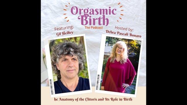 The Anatomy of the Clitoris and Its R...