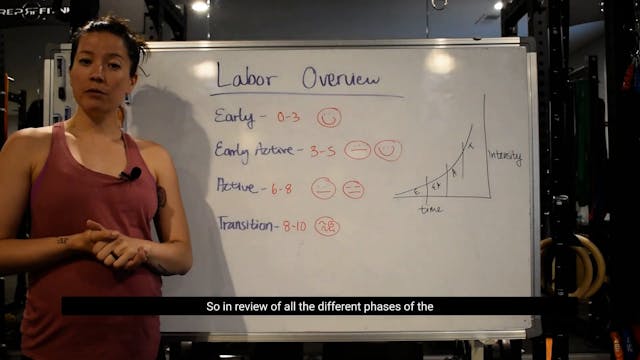 3 - Labor Overview