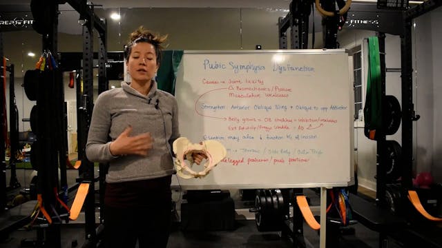 5 - Pubic Symphysis Dysfunction