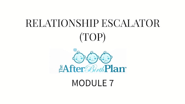 The AfterBirth Plan Module 7.1