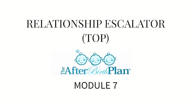 The AfterBirth Plan Module 7.1