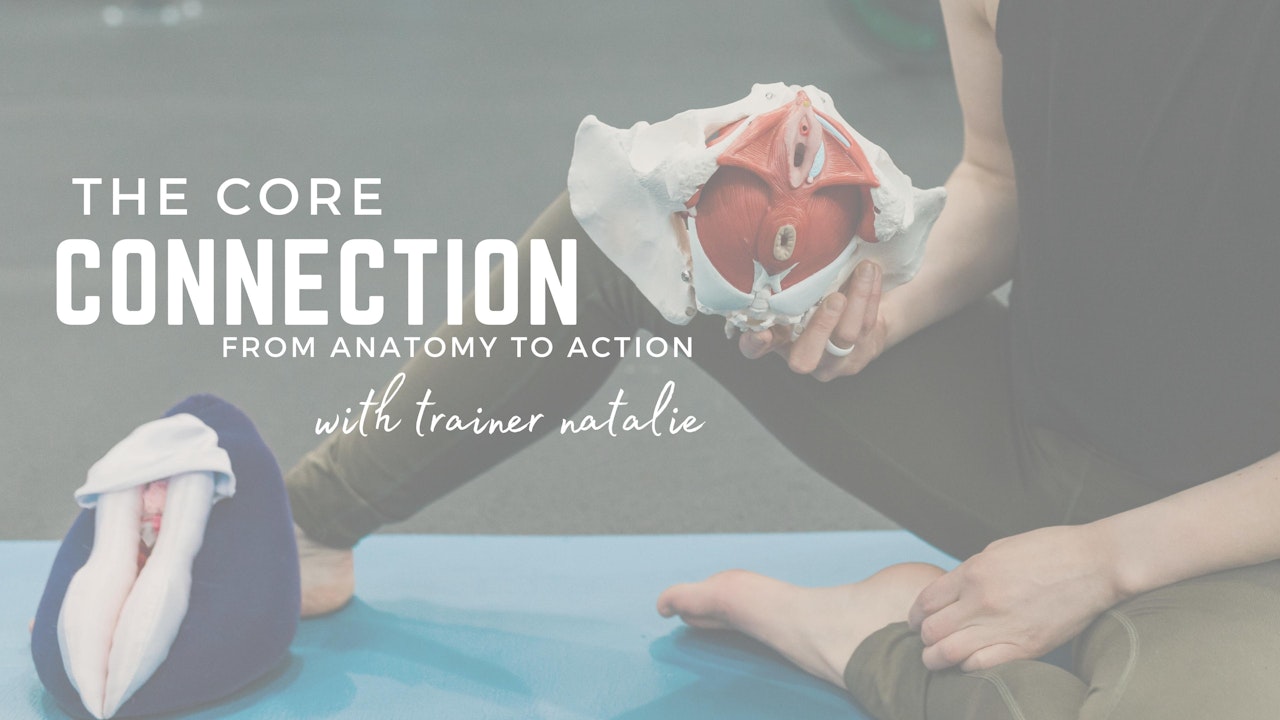 The Core Connection: From Anatomy to Action