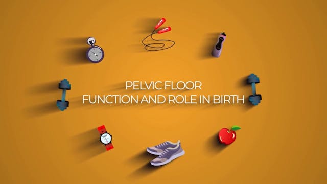 3 - Pelvic Floor Function and Role in...