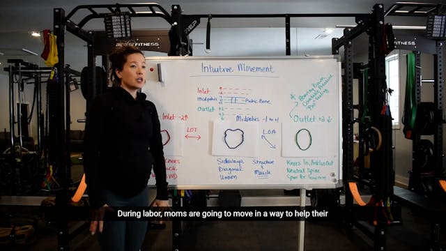 30 - Intuitive Movements
