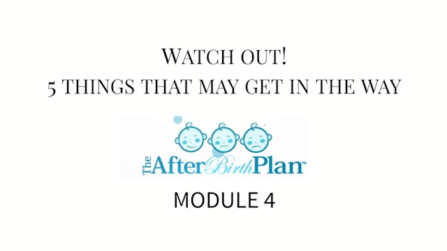 The AfterBirth Plan Module 4