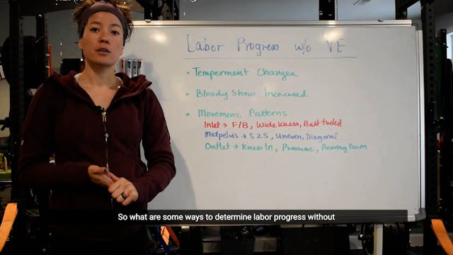 12 - Labor Progress