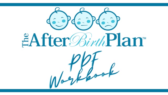 The Complete AfterBirth Plan Workbook PDF Download