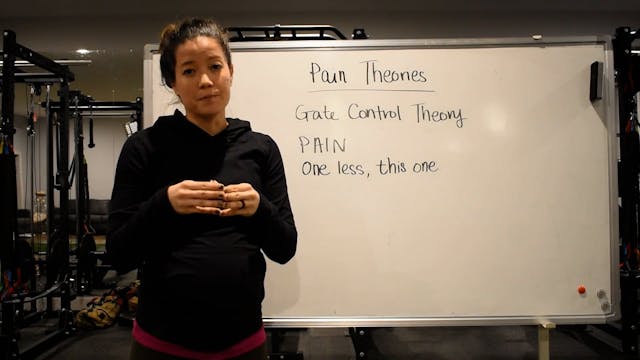 22 - Pain Theories