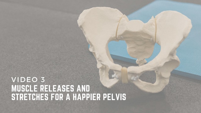 Muscle Releases and Stretches for a Happier Pelvis